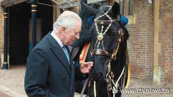 After 90 RCMP Musical Ride performances, Noble finds new home with King Charles