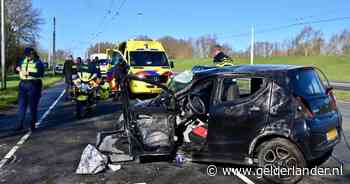 Automobilist ernstig gewond na botsing tegen trolleymast op Batavierenweg in Arnhem
