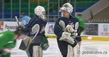 Passion for goaltending extends beyond borders for Prince Albert Raiders pair