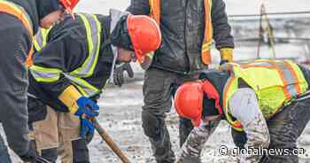 Students help Regina Food Bank with major roof construction