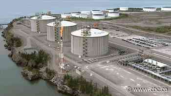 Energy company drops idea of shipping LNG to Europe, cites associated costs