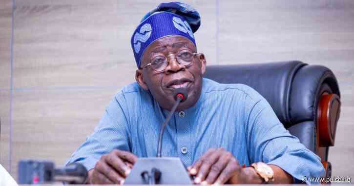 Tinubu favours competence, dismisses government of national unity