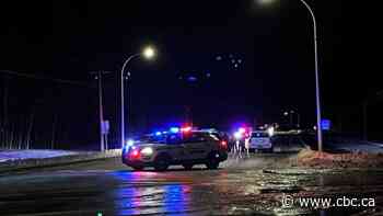 B.C.'s police watchdog investigates after fatal police-involved shooting on highway south of Prince George
