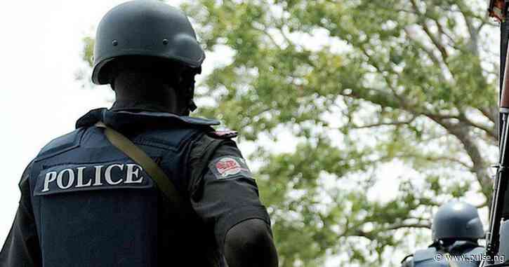 2023 Elections: Police assure of adequate security in Osun