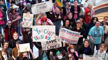 This petition asks Canada to grant asylum to transgender people from the U.S. Could it work?