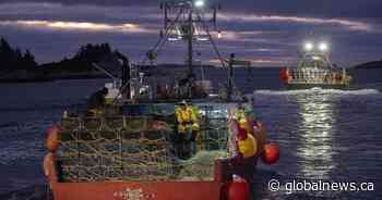 Nova Scotia reports 24 work-related deaths in 2022