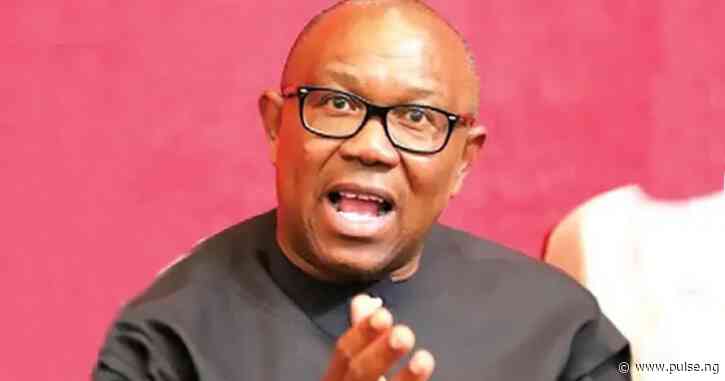 APC reports Peter Obi to security agencies over post-election claims