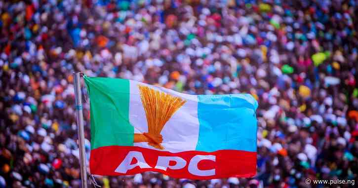 APC wins 8 of 10 LGAs announced by INEC in Ebonyi