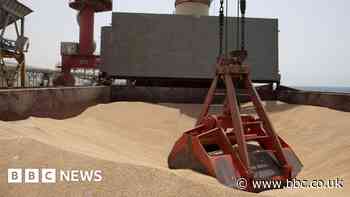 Russia and Ukraine extend grain deal despite disagreement