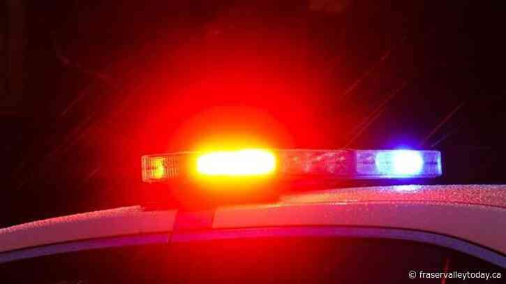 B.C. officers use spike belt to arrest ‘prolific offender’ in alleged stolen vehicle