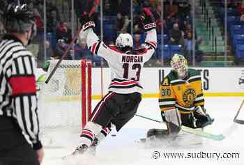 Reds roll over Golden Bears 3-0 to net U Sports men's hockey title