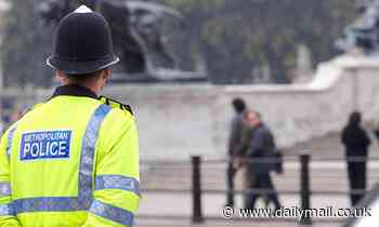 Met Police Officer Harassed Ex-partner By Bombarding Her With ...