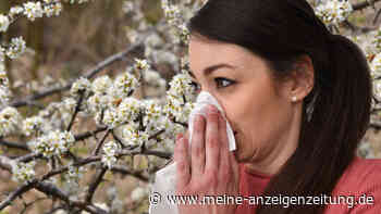 Pollen-Panik – wie Nasensprays &amp; Augentropfen bei Heuschnupfen helfen können