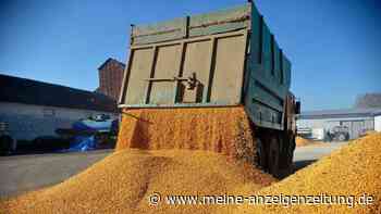 Russland droht mit Aus für Getreide-Abkommen – Ukraine verübt Anschlag auf „Verräter“