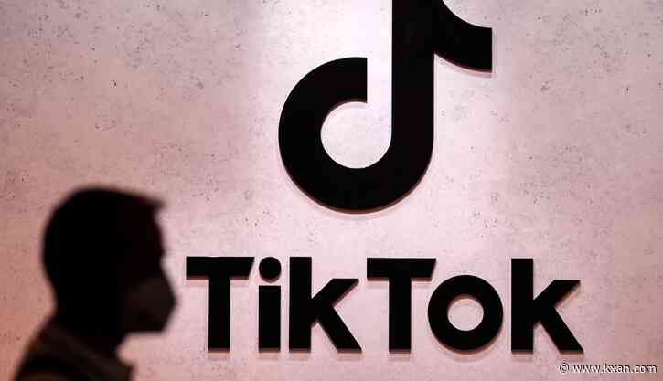 Lawmakers prepare to grill TikTok CEO amid calls to ban the app