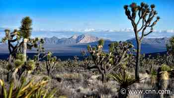 Biden designates area sacred to tribes as largest national monument of his presidency