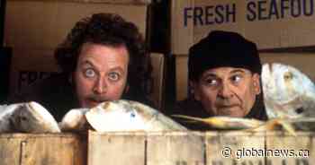 Stinky mechanic who looked like Marv from ‘Home Alone’ among oddball complaints to BBB last year