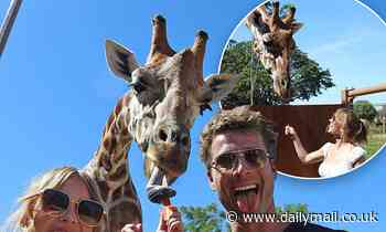 Euphoria star Sydney Sweeney feeds giraffes at Taronga Zoo in Australia with co-star Glenn Powell