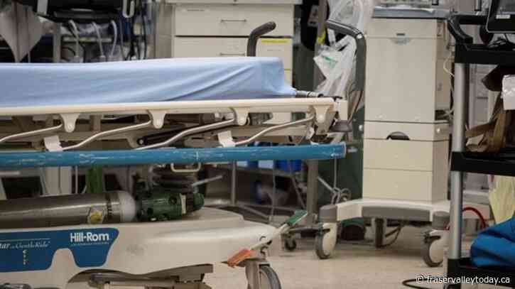 More nurses resign from Manitoba sexual assault program