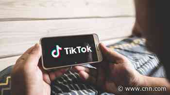 China may prefer TikTok to be banned than fall into US hands