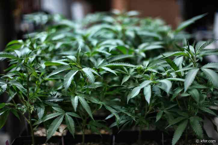 Measure that targets marijuana 'straw owners' passes Senate