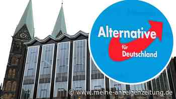 AfD-Aus in Bremen: „Leute mit Problemen im Sozialverhalten“
