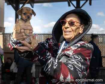 Where did all those Chihuahuas come from? Test your New Mexico news knowledge with our weekly quiz.