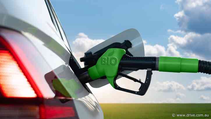 Dear Drive… Is it safe to put biofuels in my car?