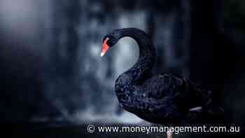 Magellan warns of potential ‘black swan’ event