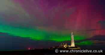 North East coast lit up pink and green during stunning Northern Lights display