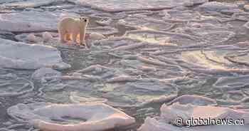 ‘A bleak outlook’: Impacts of climate change on full display in Canada’s north