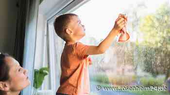 Fenster putzen: Socke und Zitrone als Helfer für streifenfreien Glanz