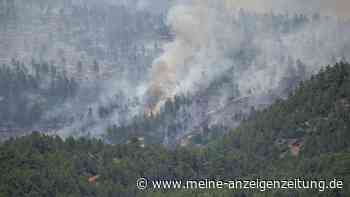 Groß-Waldbrand in Spanien zerstört über 4000 Hektar