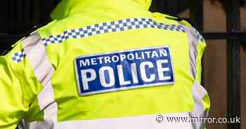 Extent of rot in Met Police is what's so shocking - and fixing it will take brains