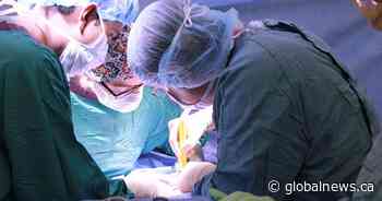 Quebec wants medical specialists to work harder, report suggests