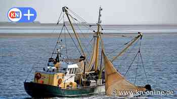 EU vertagt Entscheidung: Norddeutsche Krabbenfischer bleiben alarmiert