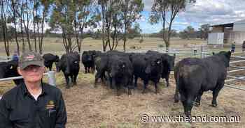 Fernhill Angus recorded a top sale