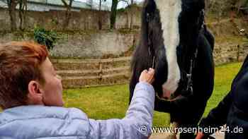 Pferd „Bando“ besucht Bewohnerin des Tittmoninger Seniorenzentrums
