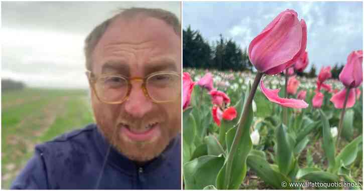 Selvaggia Lucarelli si confronta con l’agricoltore dei tulipani distrutti Giuseppe Savino: “Lei fa impresa, perché il rischio se lo devono accollare i donatori?” “Se chiedo aiuto che male c’è?”