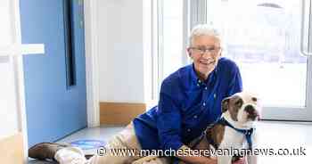 How many dogs did Paul O'Grady have and what were they called?