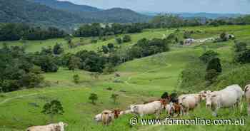 Davies Farm: Where agriculture, conservation and biodiversity coexist | Video
