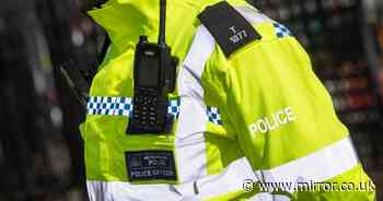 Met Police blocks social media on officers' phones and brings in new Whatsapp rules