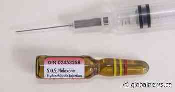 B.C. carpenters’ union supplying Naloxone kits, training to members
