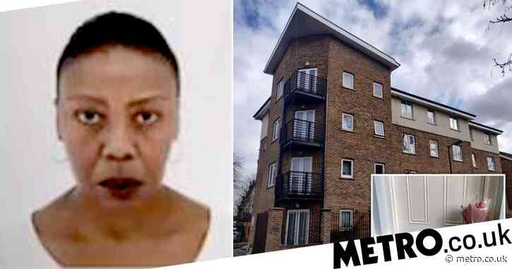 Womans Flat ‘infested With Maggots After Neighbour Lay Dead For Two Years Uk News Newslocker