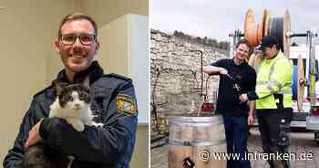 Neuer Esel-Elefant, Wein-Pipeline und Polizei-Katzen: Das sind die besten Aprilscherze in Franken