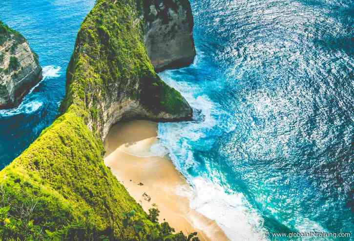 Mind Paradise – 25 Reasons to Take Your NLP Training on Bali