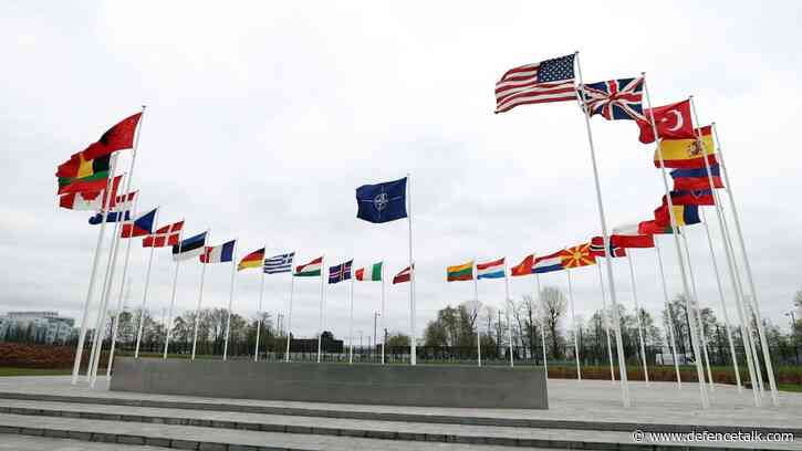 Long NATO delay spells trouble for Sweden and alliance: experts