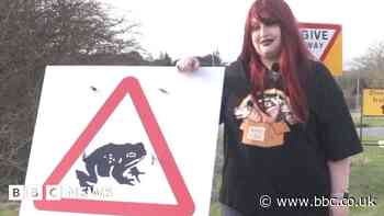'Toad Girl' saves amphibians trying to cross Hexham road