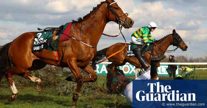 Calls for jump-racing ban after Grand National horse deaths