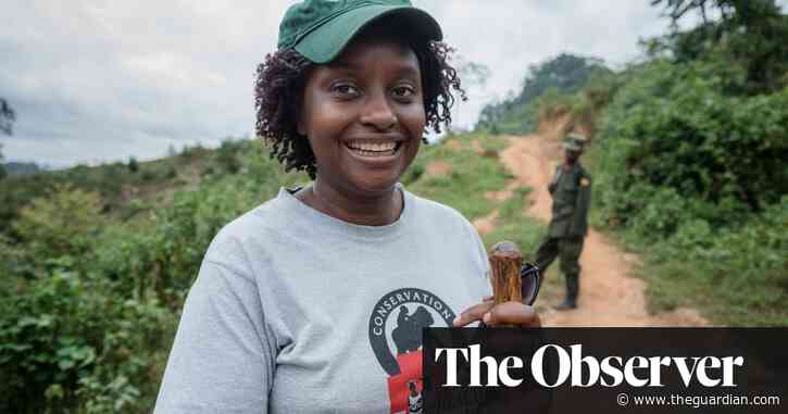 Champion of the gorillas: the vet fighting to save Uganda’s great apes